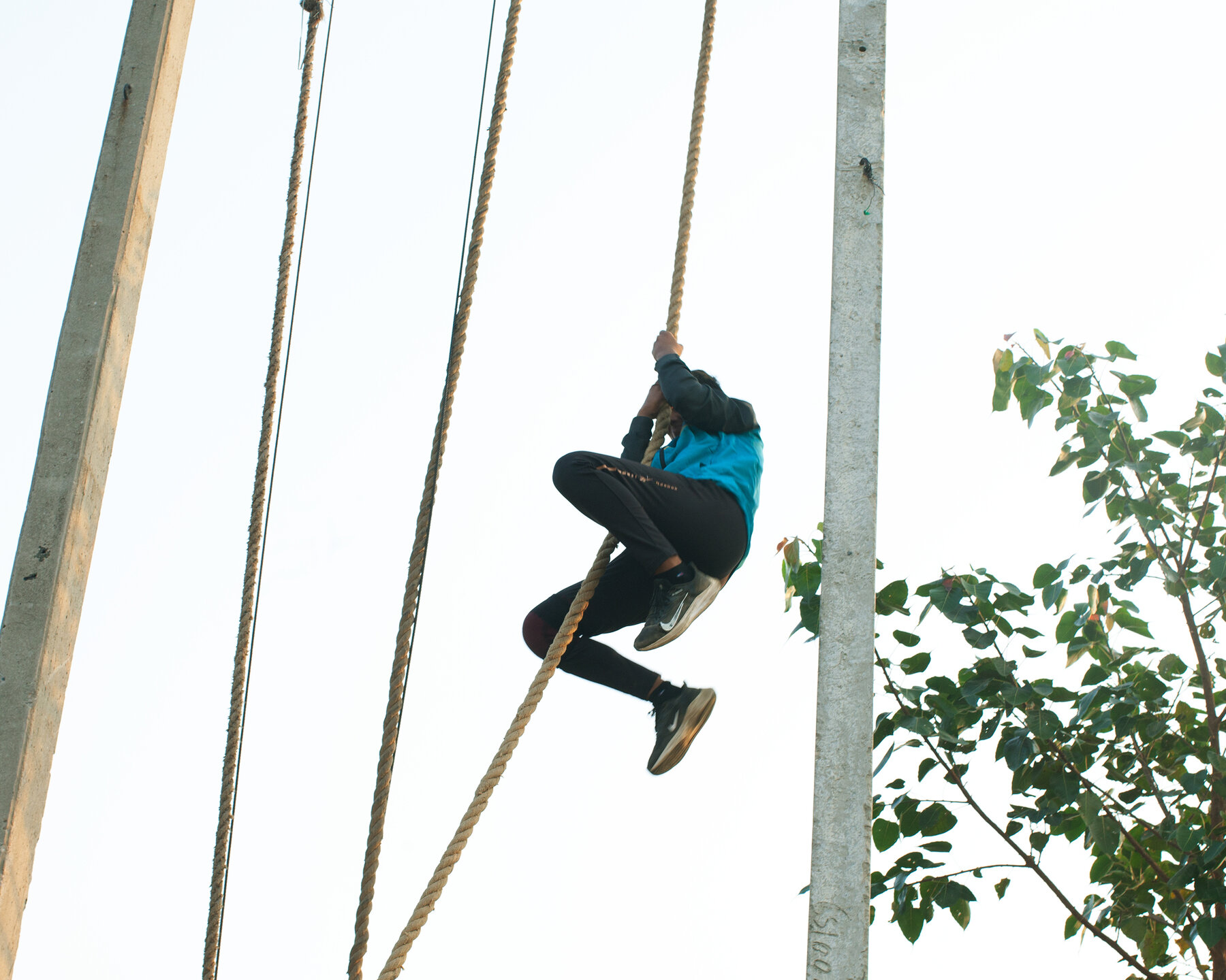 Una joven vestida con una sudadera azul, pantalones negros y zapatos deportivos, agarrada a una cuerda suspendida en el aire. Está a la altura de la copa de un árbol, que se encuentra a su derecha. A su izquierda hay más cuerdas y un poste de madera.